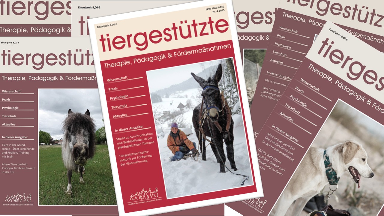 Zeitschrift Beitrag 4-25